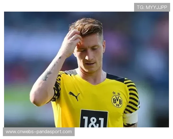 罗伊斯续约多特蒙德,老将经验助力年轻阵容 罗伊斯续约多特蒙德,老将经验助力年轻阵容